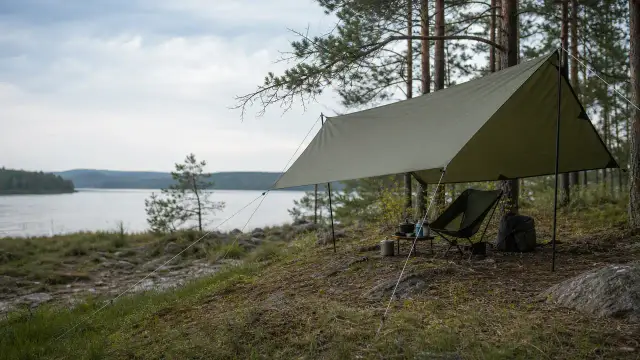 Tarps