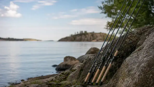 Fiskestænger
